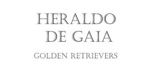 Logo de Heraldo de Gaia