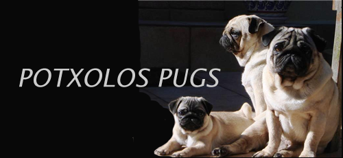Logo de Potxolos Pugs
