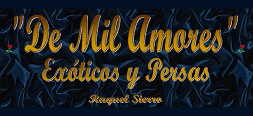 Logo de De Mil Amores