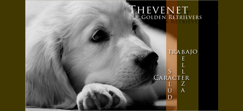 Logo de Thevenet