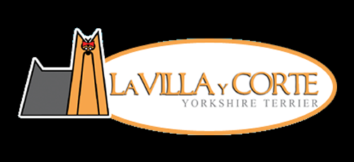 Logo de La Villa y Corte